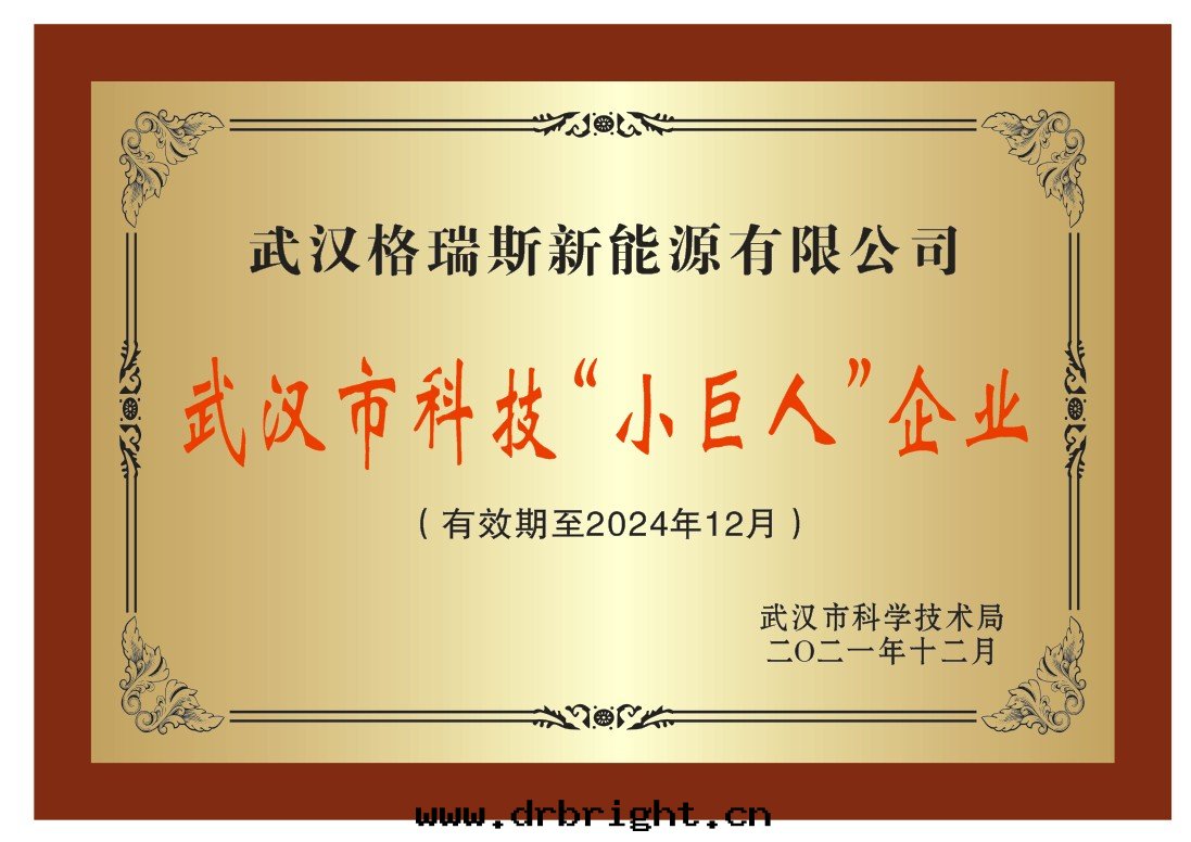 武漢市(shì)科技“小巨人(rén)”企业